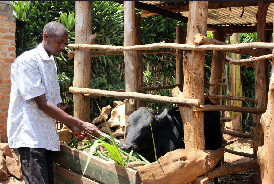 Guteza imbere Ibisubizo U Rwanda rwagezeho binyuze muri Rwanda Cooperation